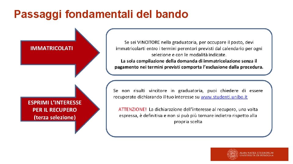 Passaggi fondamentali del bando 