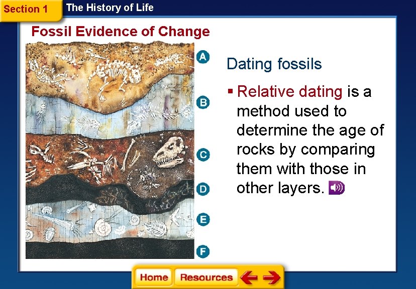 Section 1 The History of Life Fossil Evidence of Change Dating fossils § Relative