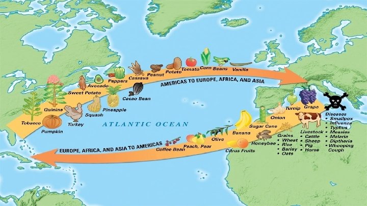 The Columbian Exchange ● The Columbian Exchange was a series of interchanges that permanently
