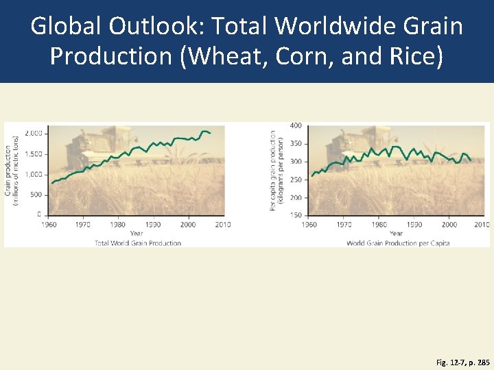 Global Outlook: Total Worldwide Grain Production (Wheat, Corn, and Rice) Fig. 12 -7, p.