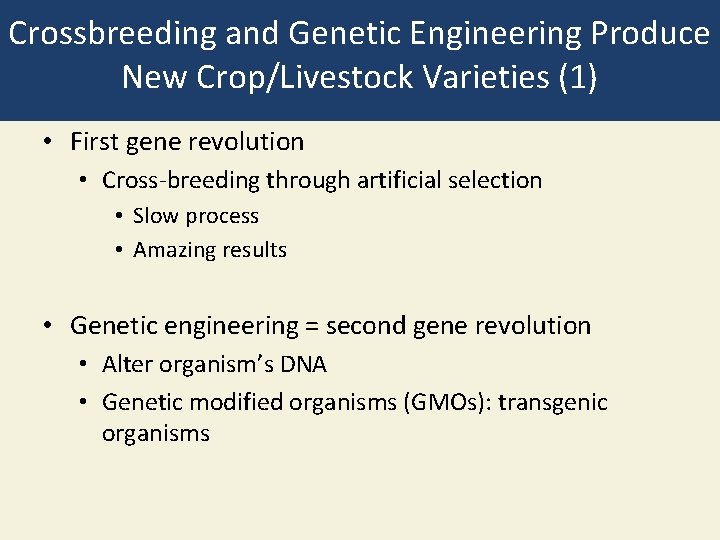 Crossbreeding and Genetic Engineering Produce New Crop/Livestock Varieties (1) • First gene revolution •