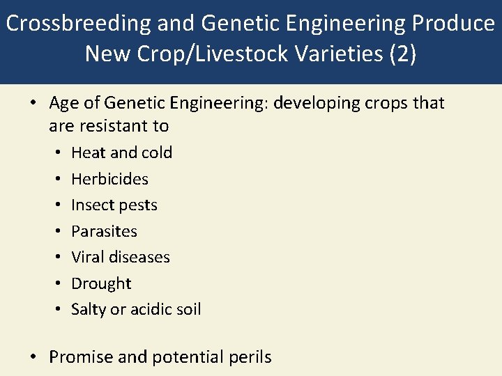 Crossbreeding and Genetic Engineering Produce New Crop/Livestock Varieties (2) • Age of Genetic Engineering: