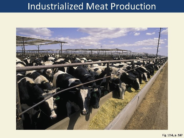 Industrialized Meat Production Fig. 12 -8, p. 287 