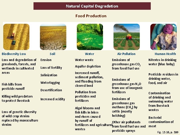 Natural Capital Degradation Food Production Biodiversity Loss and degradation of grasslands, forests, and wetlands