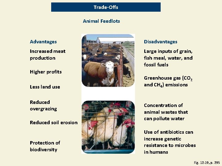 Trade-Offs Animal Feedlots Advantages Disadvantages Increased meat production Large inputs of grain, fish meal,