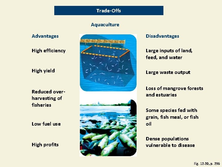 Trade-Offs Aquaculture Advantages Disadvantages High efficiency Large inputs of land, feed, and water High