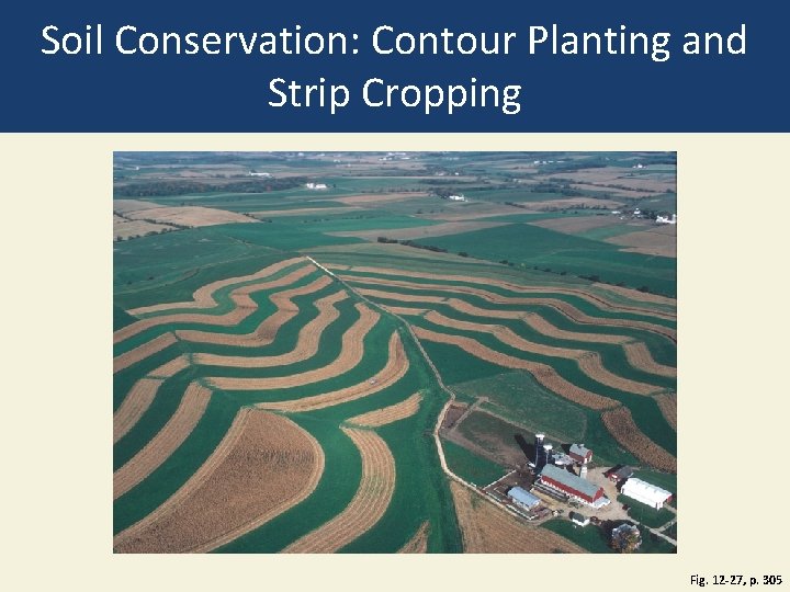 Soil Conservation: Contour Planting and Strip Cropping Fig. 12 -27, p. 305 