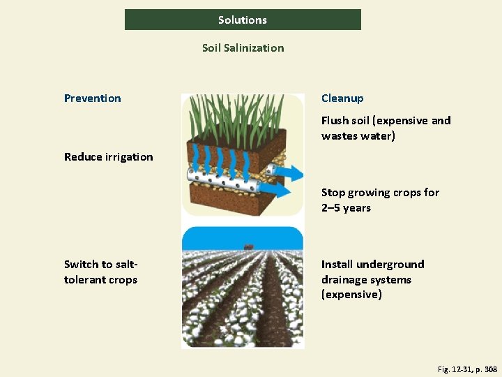 Solutions Soil Salinization Prevention Cleanup Flush soil (expensive and wastes water) Reduce irrigation Stop