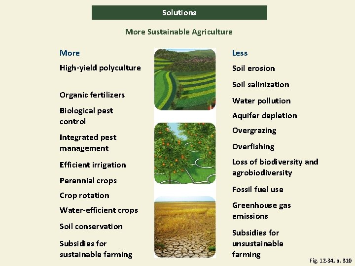 Solutions More Sustainable Agriculture More Less High-yield polyculture Soil erosion Organic fertilizers Biological pest