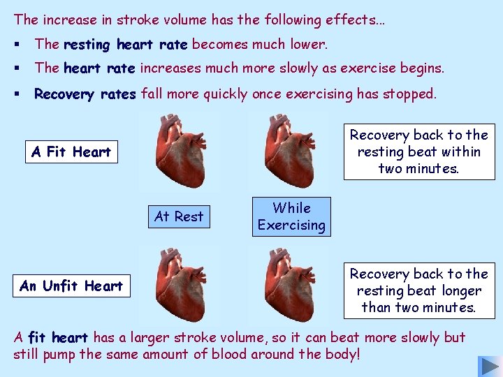 The increase in stroke volume has the following effects. . . § The resting