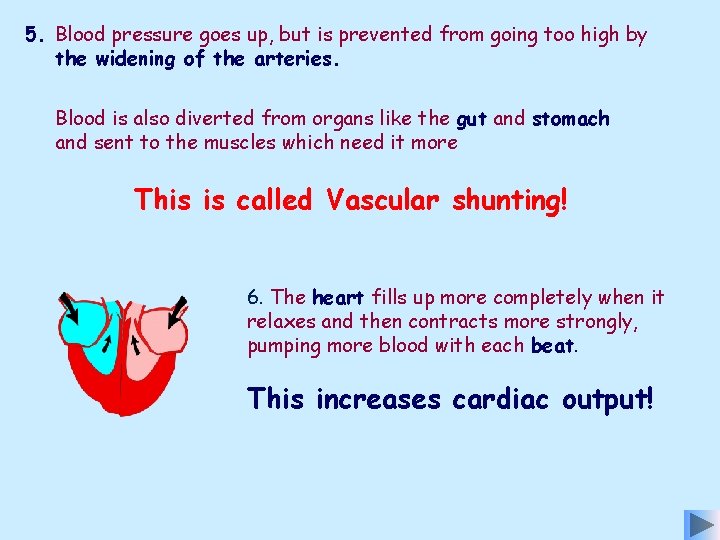5. Blood pressure goes up, but is prevented from going too high by the