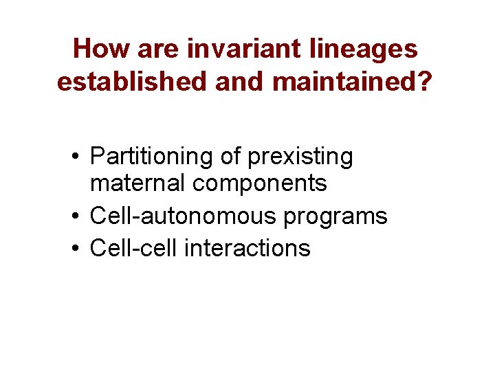 How are invariant lineages established and maintained? • Partitioning of prexisting maternal components •