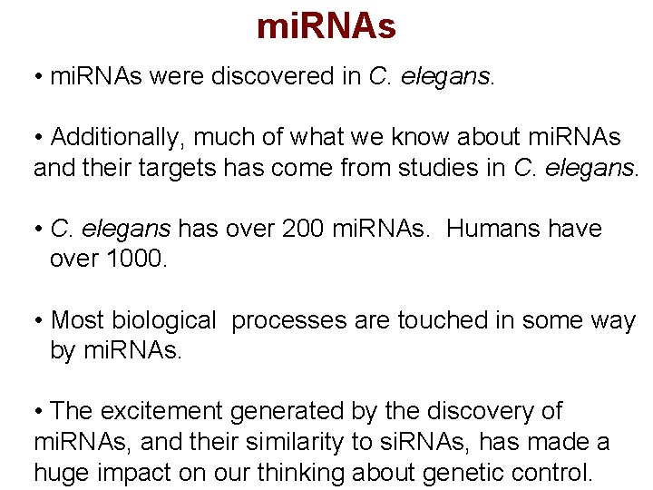 mi. RNAs • mi. RNAs were discovered in C. elegans. • Additionally, much of