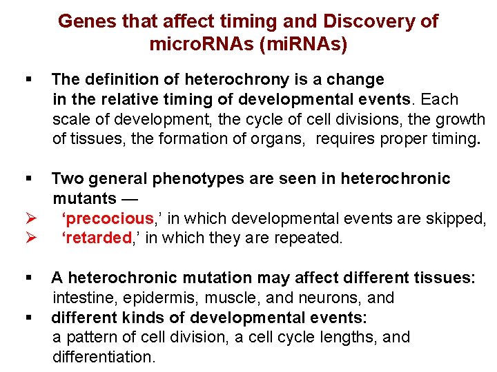 Genes that affect timing and Discovery of micro. RNAs (mi. RNAs) § The definition