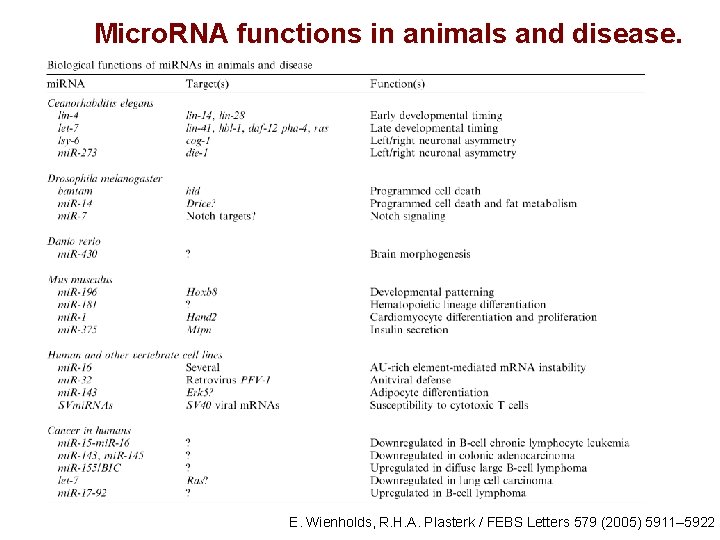 Micro. RNA functions in animals and disease. E. Wienholds, R. H. A. Plasterk /