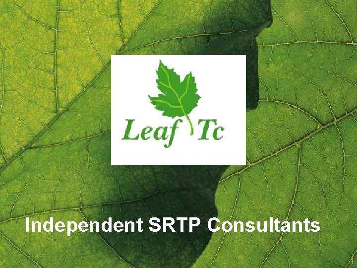 Independent SRTP Consultants 1 