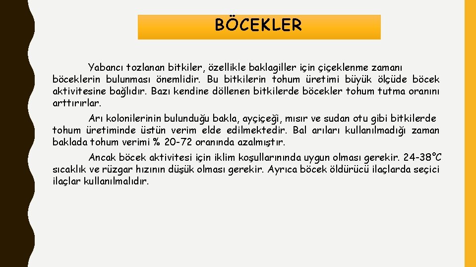 BÖCEKLER Yabancı tozlanan bitkiler, özellikle baklagiller için çiçeklenme zamanı böceklerin bulunması önemlidir. Bu bitkilerin