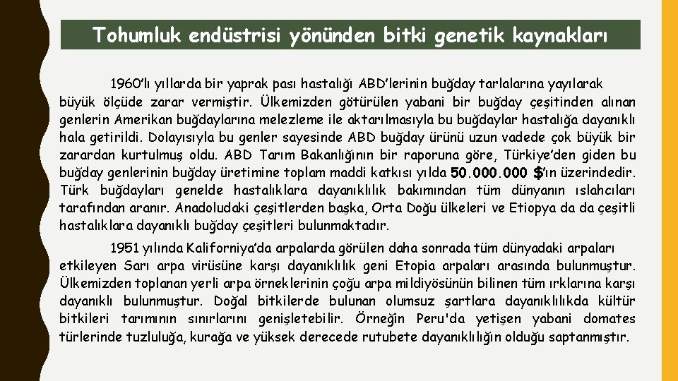 Tohumluk endüstrisi yönünden bitki genetik kaynakları 1960’lı yıllarda bir yaprak pası hastalığı ABD’lerinin buğday