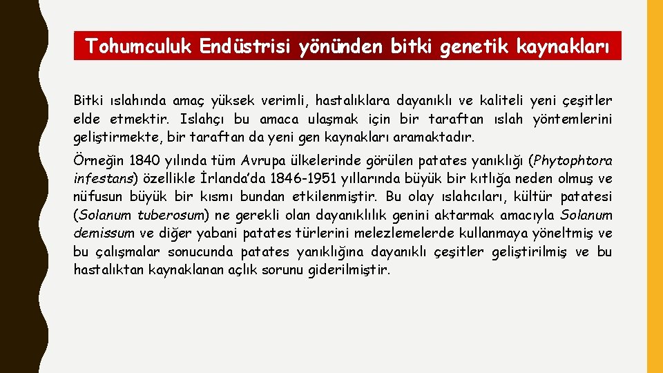 Tohumculuk Endüstrisi yönünden bitki genetik kaynakları Bitki ıslahında amaç yüksek verimli, hastalıklara dayanıklı ve