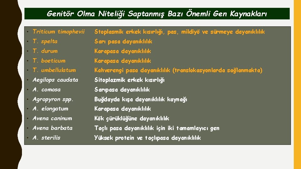 Genitör Olma Niteliği Saptanmış Bazı Önemli Gen Kaynakları • Triticum timophevii Stoplasmik erkek kısırlığı,