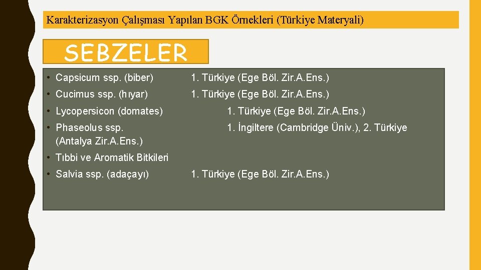 Karakterizasyon Çalışması Yapılan BGK Örnekleri (Türkiye Materyali) SEBZELER • Capsicum ssp. (biber) 1. Türkiye