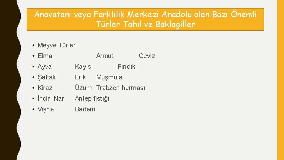 Anavatanı veya Farklılık Merkezi Anadolu olan Bazı Önemli Türler Tahıl ve Baklagiller • Meyve