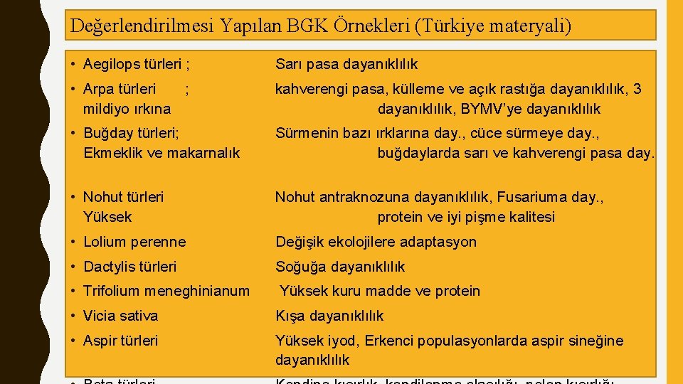 Değerlendirilmesi Yapılan BGK Örnekleri (Türkiye materyali) • Aegilops türleri ; Sarı pasa dayanıklılık •