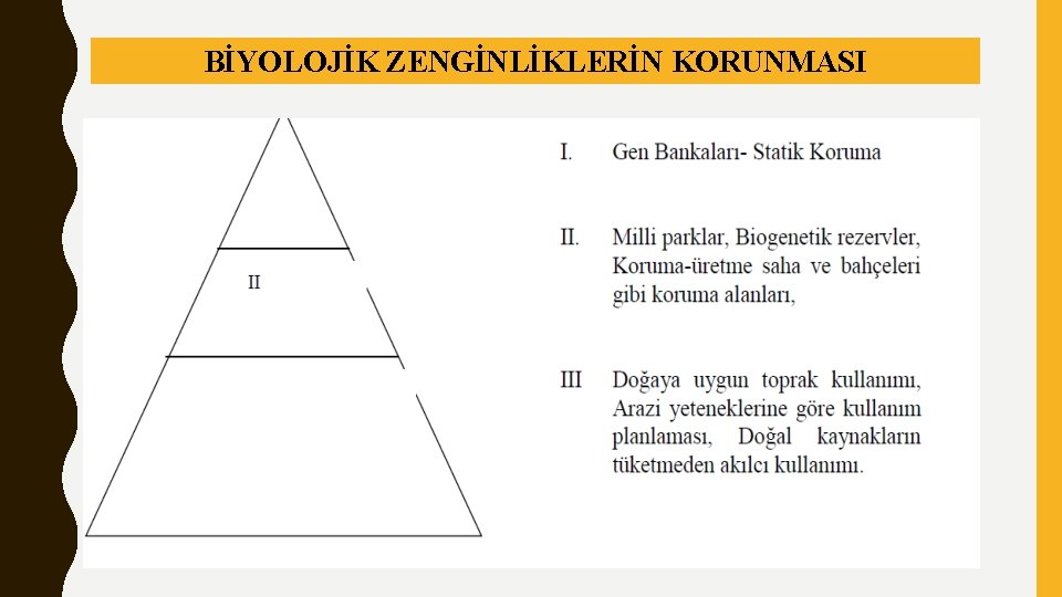 BİYOLOJİK ZENGİNLİKLERİN KORUNMASI 