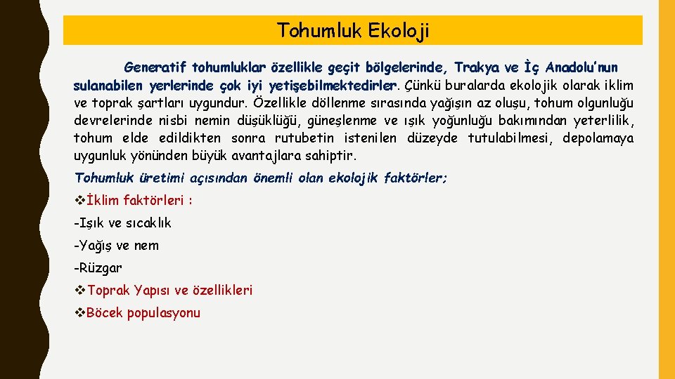 Tohumluk Ekoloji Generatif tohumluklar özellikle geçit bölgelerinde, Trakya ve İç Anadolu’nun sulanabilen yerlerinde çok