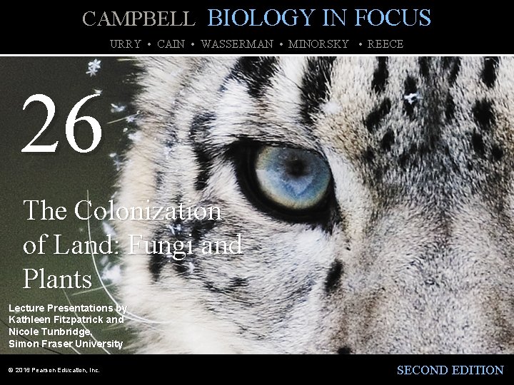 CAMPBELL BIOLOGY IN FOCUS URRY • CAIN • WASSERMAN • MINORSKY • REECE 26