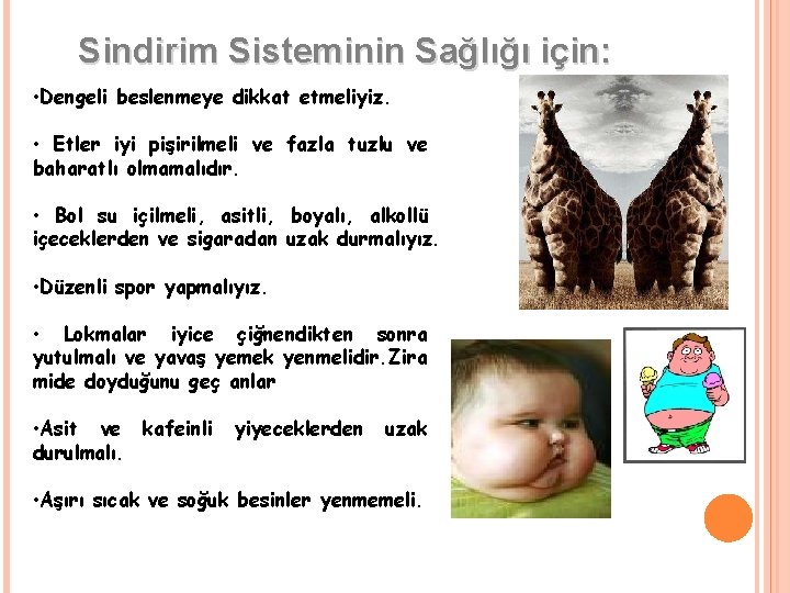 Sindirim Sisteminin Sağlığı için: • Dengeli beslenmeye dikkat etmeliyiz. • Etler iyi pişirilmeli ve