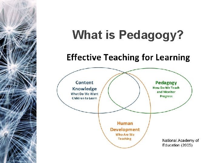 What is Pedagogy? 