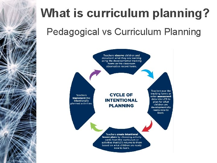What is curriculum planning? Pedagogical vs Curriculum Planning 