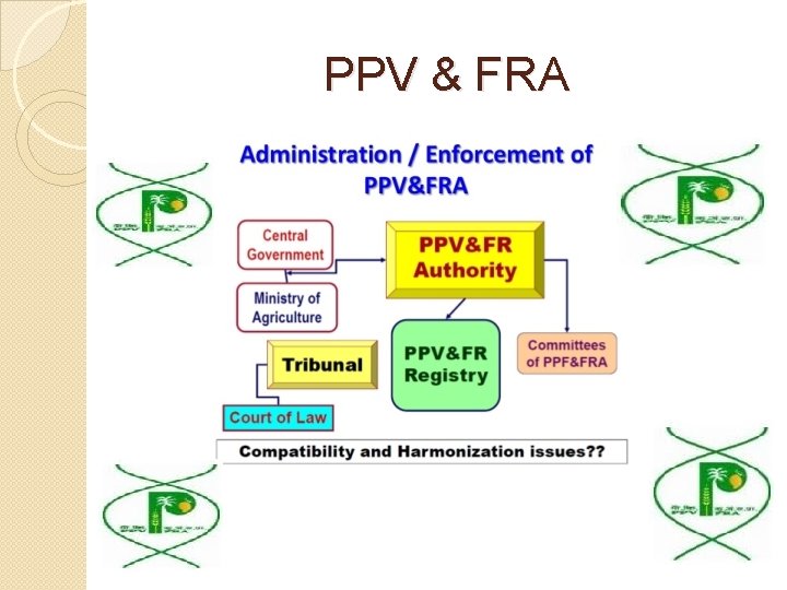 PPV & FRA 