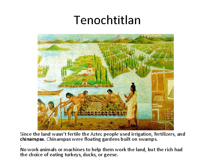 Tenochtitlan Since the land wasn’t fertile the Aztec people used irrigation, fertilizers, and chinampas.