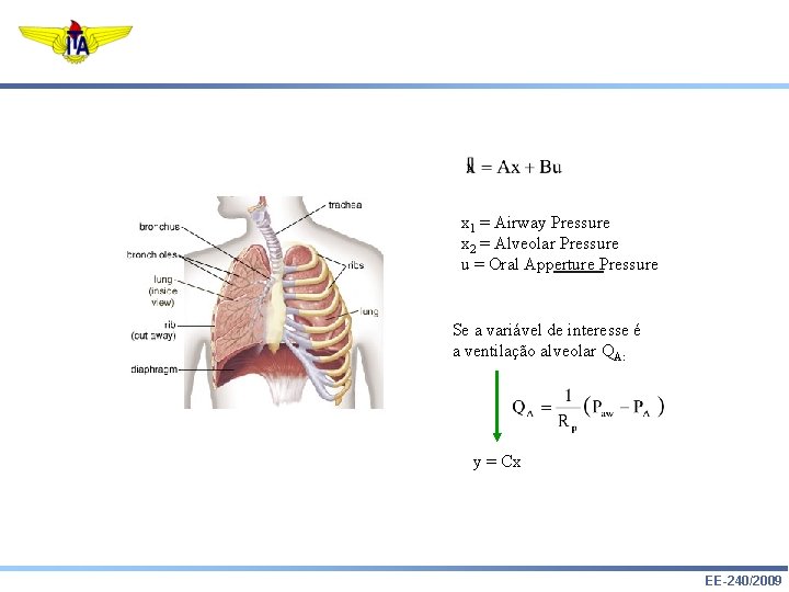 x 1 = Airway Pressure x 2 = Alveolar Pressure u = Oral Apperture