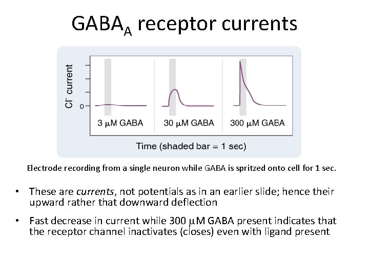 GABAA receptor currents Electrode recording from a single neuron while GABA is spritzed onto