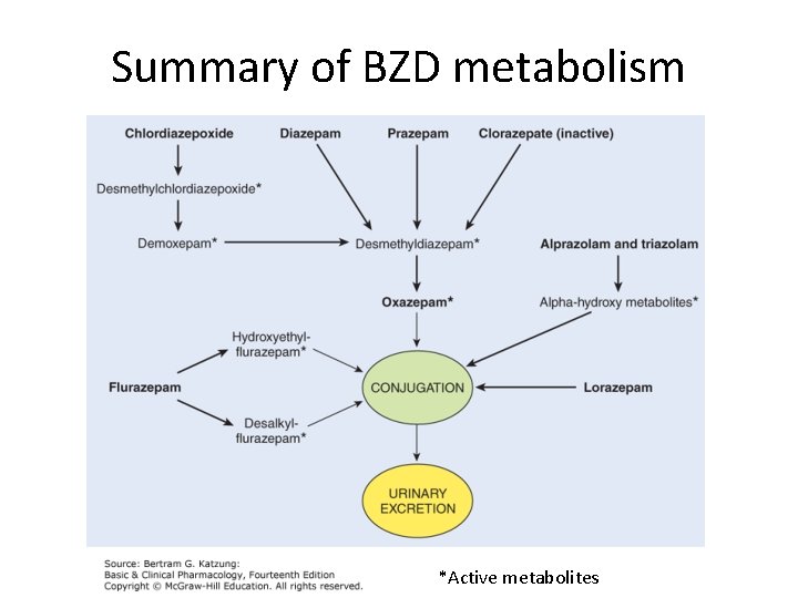 Summary of BZD metabolism *Active metabolites 