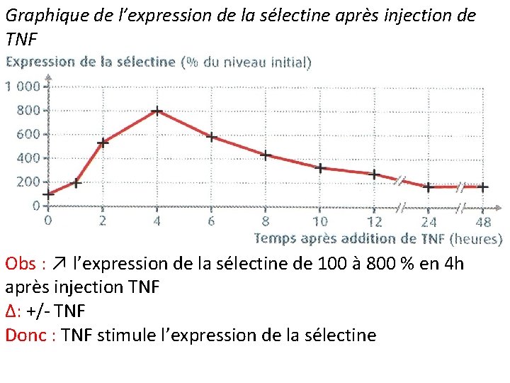 Graphique de l’expression de la sélectine après injection de TNF Obs : ↗ l’expression