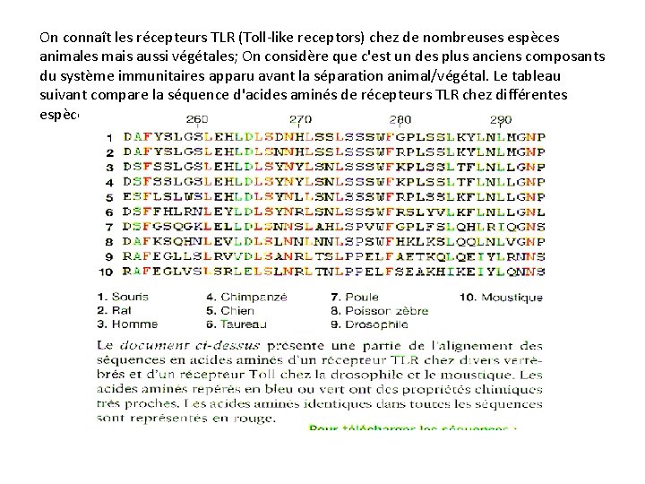 On connaît les récepteurs TLR (Toll-like receptors) chez de nombreuses espèces animales mais aussi