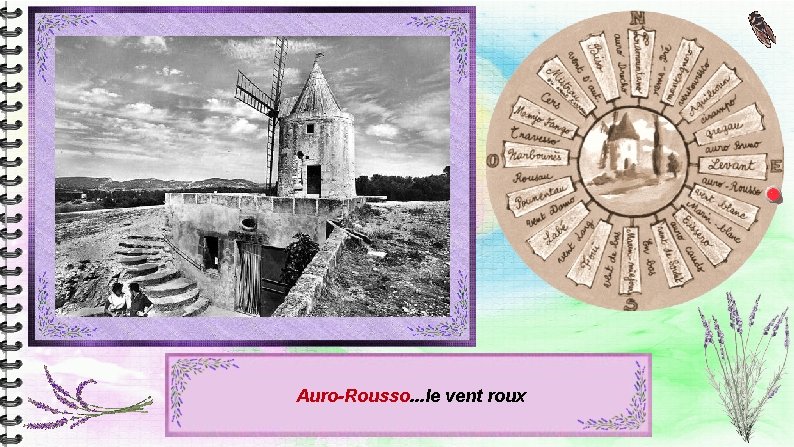 Auro-Rousso. . . le vent roux Auro-Rousso. . . le vent roux