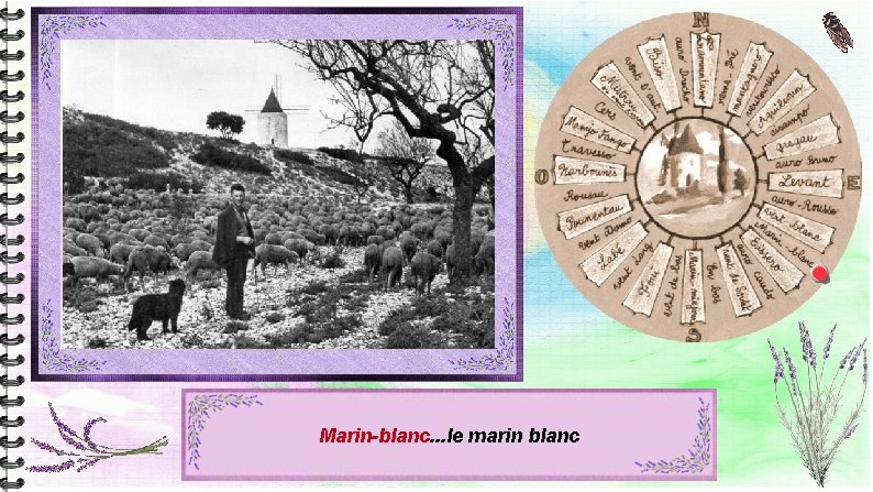 Marin-blanc. . . le marin blanc Marin-blanc. . . le marin blanc