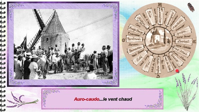 Auro-caudo. . . le vent chaud Auro-caudo. . . le vent chaud