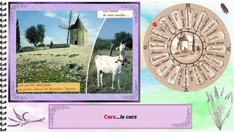 Cers. . . le cers Cers. . . le cers
