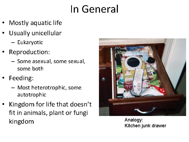 In General • Mostly aquatic life • Usually unicellular – Eukaryotic • Reproduction: –