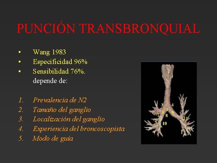 PUNCIÓN TRANSBRONQUIAL • • • Wang 1983 Especificidad 96% Sensibilidad 76%. depende de: 1. PUNCIÓN TRANSBRONQUIAL • • • Wang 1983 Especificidad 96% Sensibilidad 76%. depende de: 1.