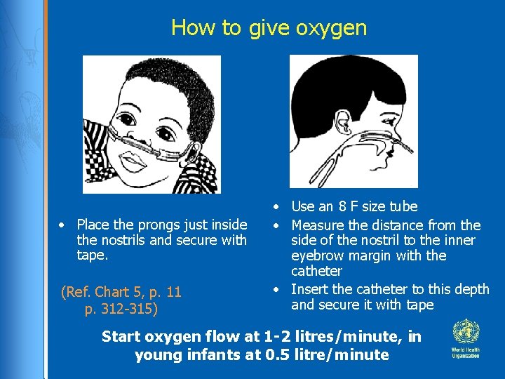 How to give oxygen • Place the prongs just inside the nostrils and secure How to give oxygen • Place the prongs just inside the nostrils and secure
