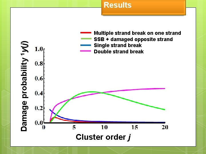 Damage probability 1 y(j) Results Multiple strand break on one strand SSB + damaged