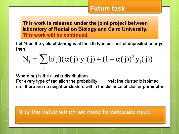 Future task This work is released under the joint project between laboratory of Radiation