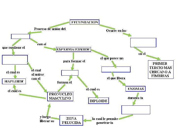 ACTIVIDAD: Completa el mapa conceptual 